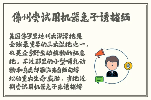 b站未满十八岁可以实名认证吗