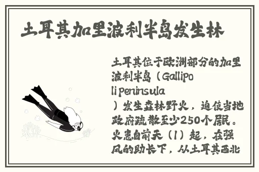 18款禁用软件app糖心